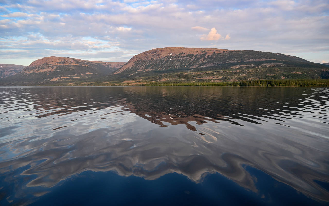 Долина реки Иркингда, image of landscape/habitat.