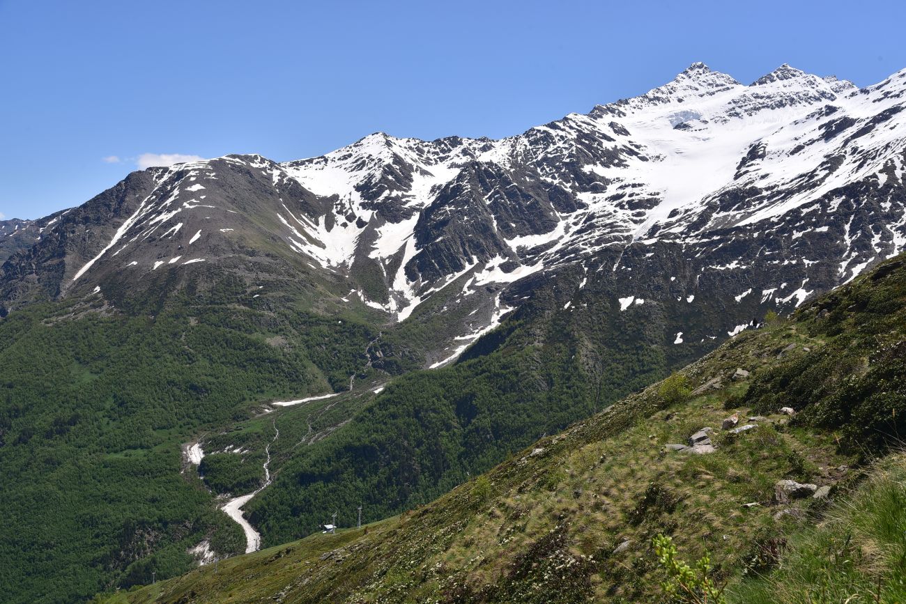 Гора Донгуз-Орун-Гитче-Кара-Баши, image of landscape/habitat.