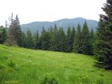 Image of landscape