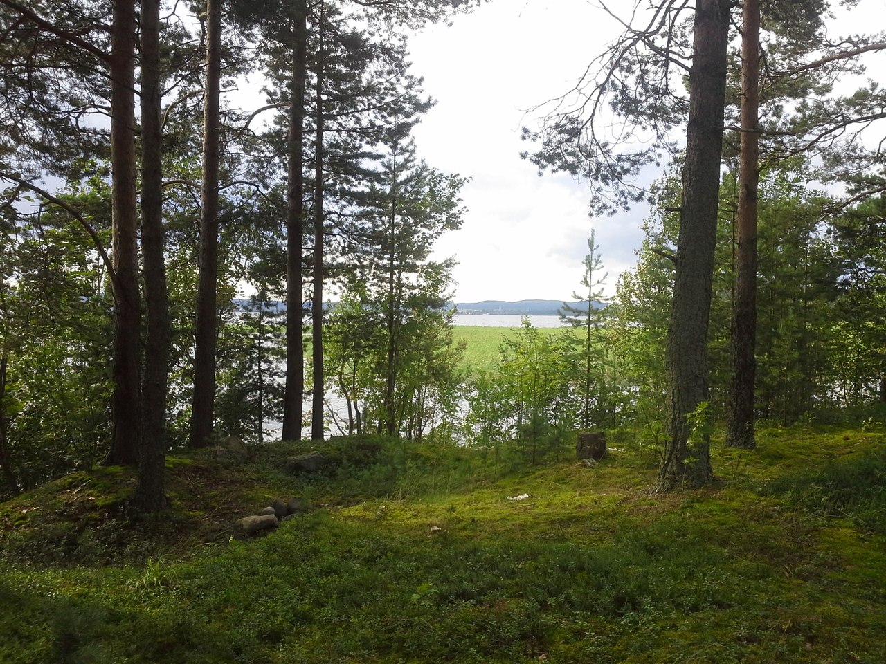 Медвежьегорск и окрестности, image of landscape/habitat.
