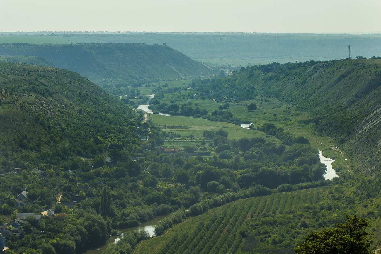 Окрестности села Бутучены, изображение ландшафта.