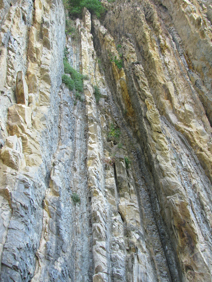 Скала Киселёва, image of landscape/habitat.