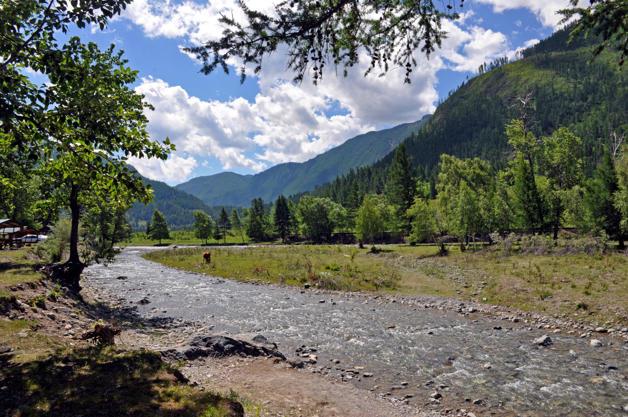 Устье реки Чибитка, image of landscape/habitat.