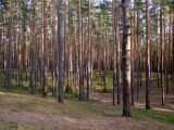 Image of landscape