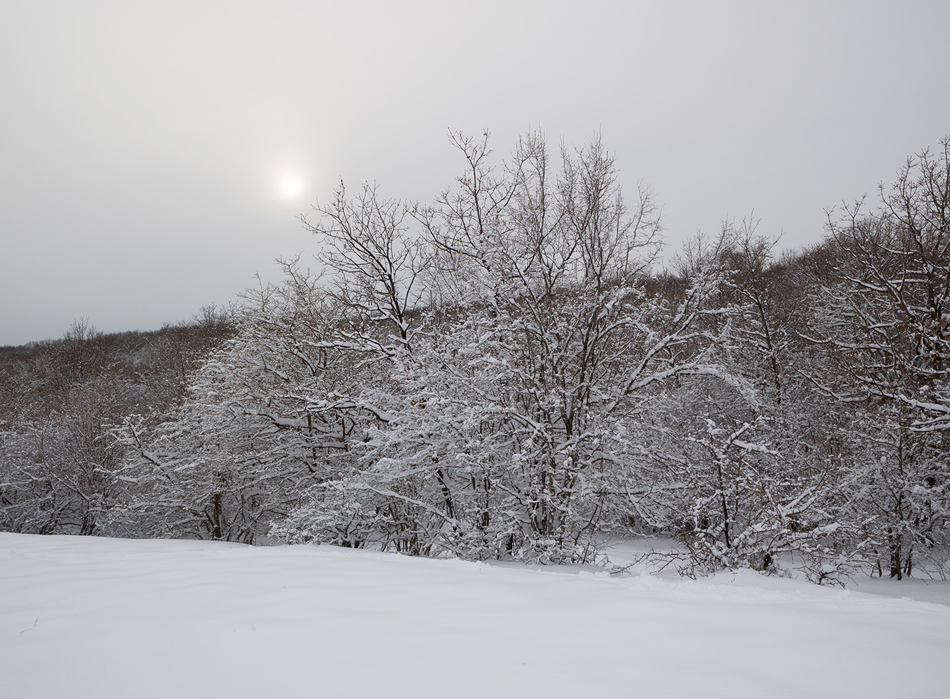 Малый Яр, image of landscape/habitat.