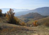 Image of landscape