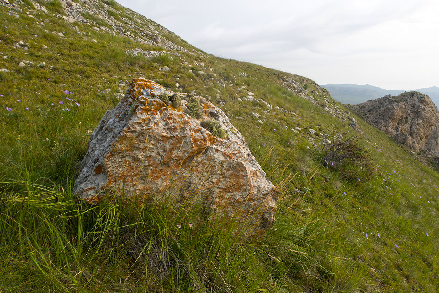 Малый Бермамыт, image of landscape/habitat.