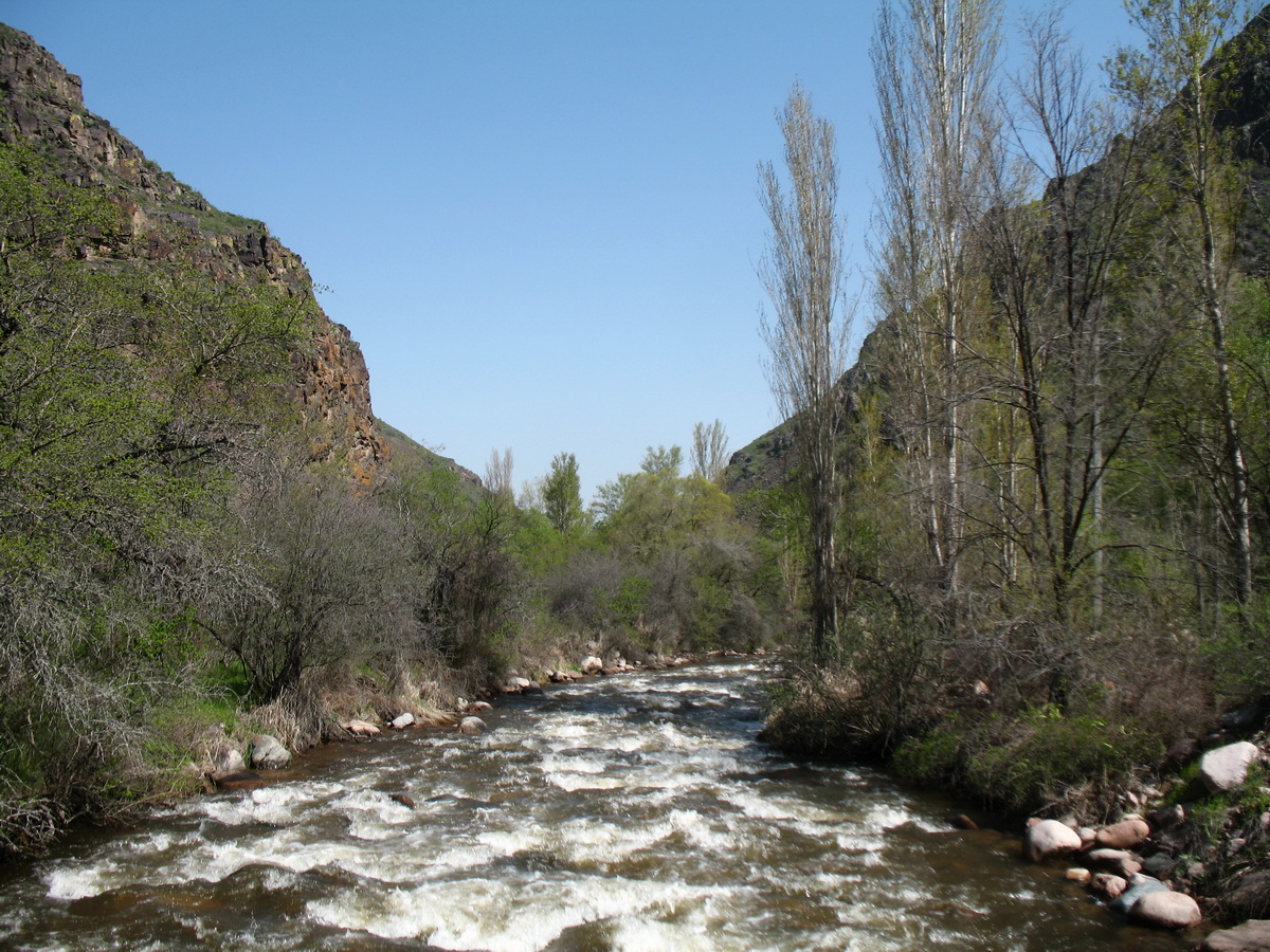 Мерке, image of landscape/habitat.