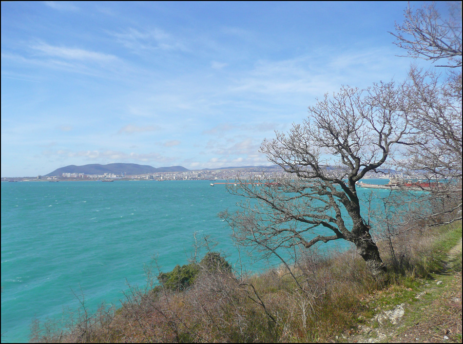 Окрестности мыса Шесхарис, image of landscape/habitat.