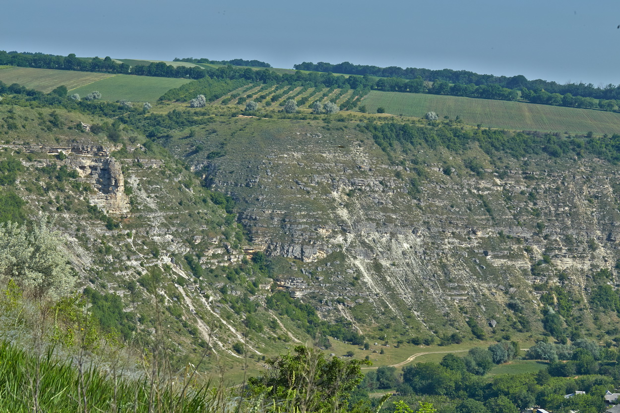 Окрестности села Бутучены, image of landscape/habitat.