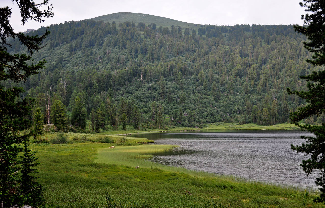 Озеро Светлое, image of landscape/habitat.