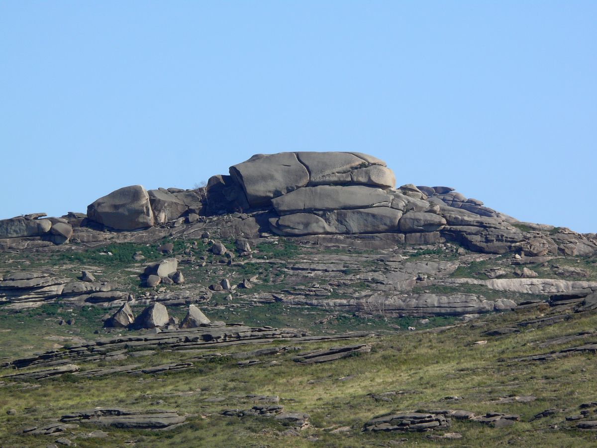 Озеро Дубыгалинское (Окуньки), image of landscape/habitat.