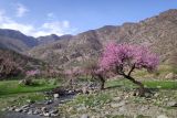 Landscape image