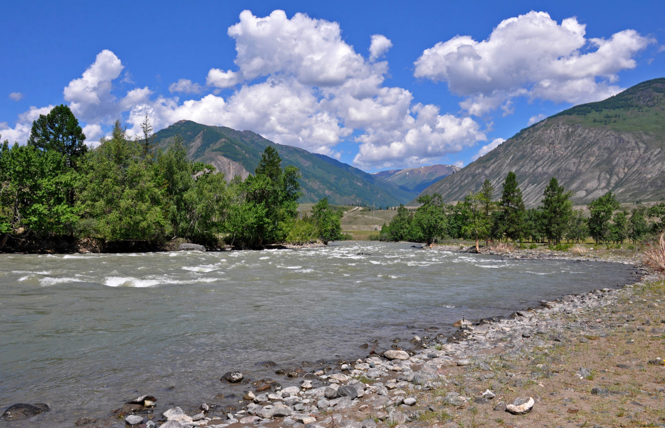 Устье реки Чибитка, image of landscape/habitat.