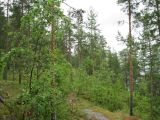 Image of landscape