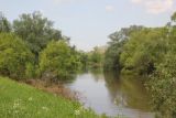 Окрестности деревни Сатино, image of landscape/habitat.