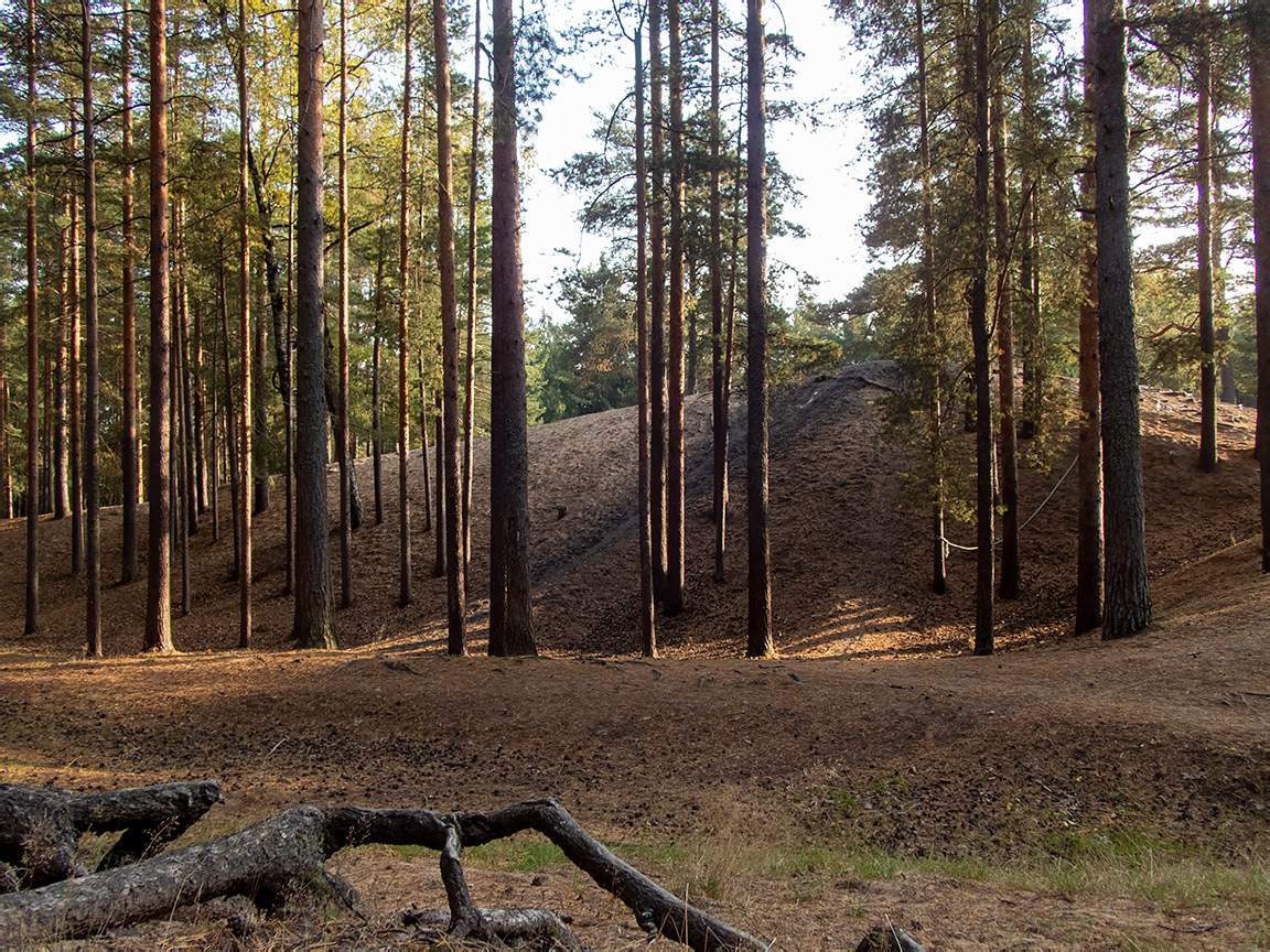 Дубна, image of landscape/habitat.