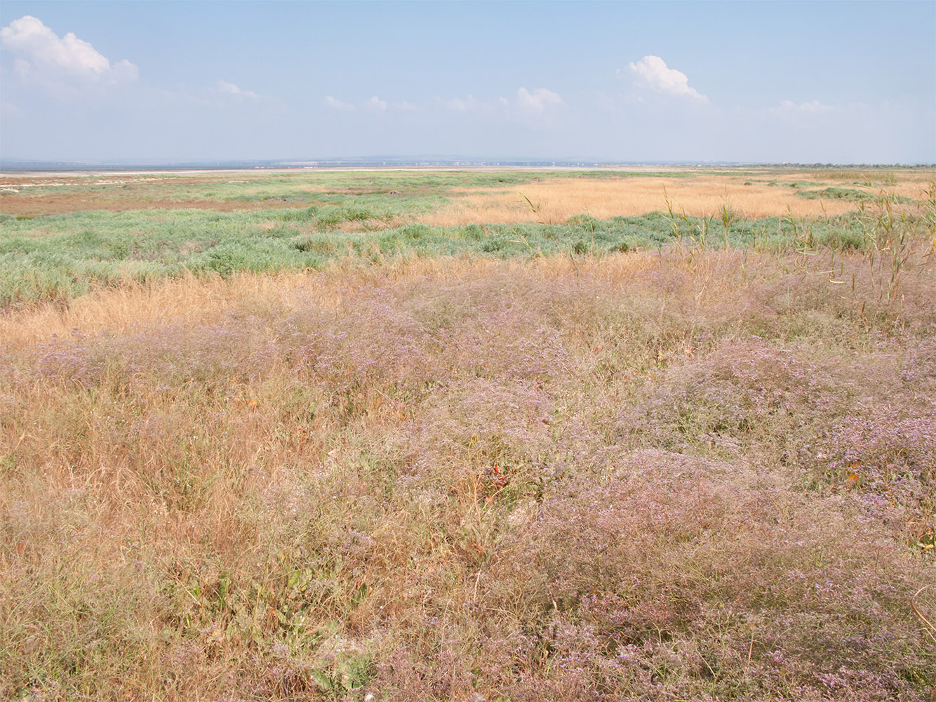 Витязевский лиман, image of landscape/habitat.