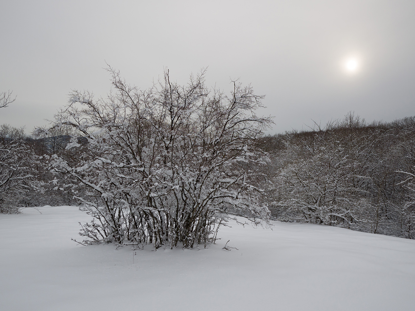 Малый Яр, image of landscape/habitat.