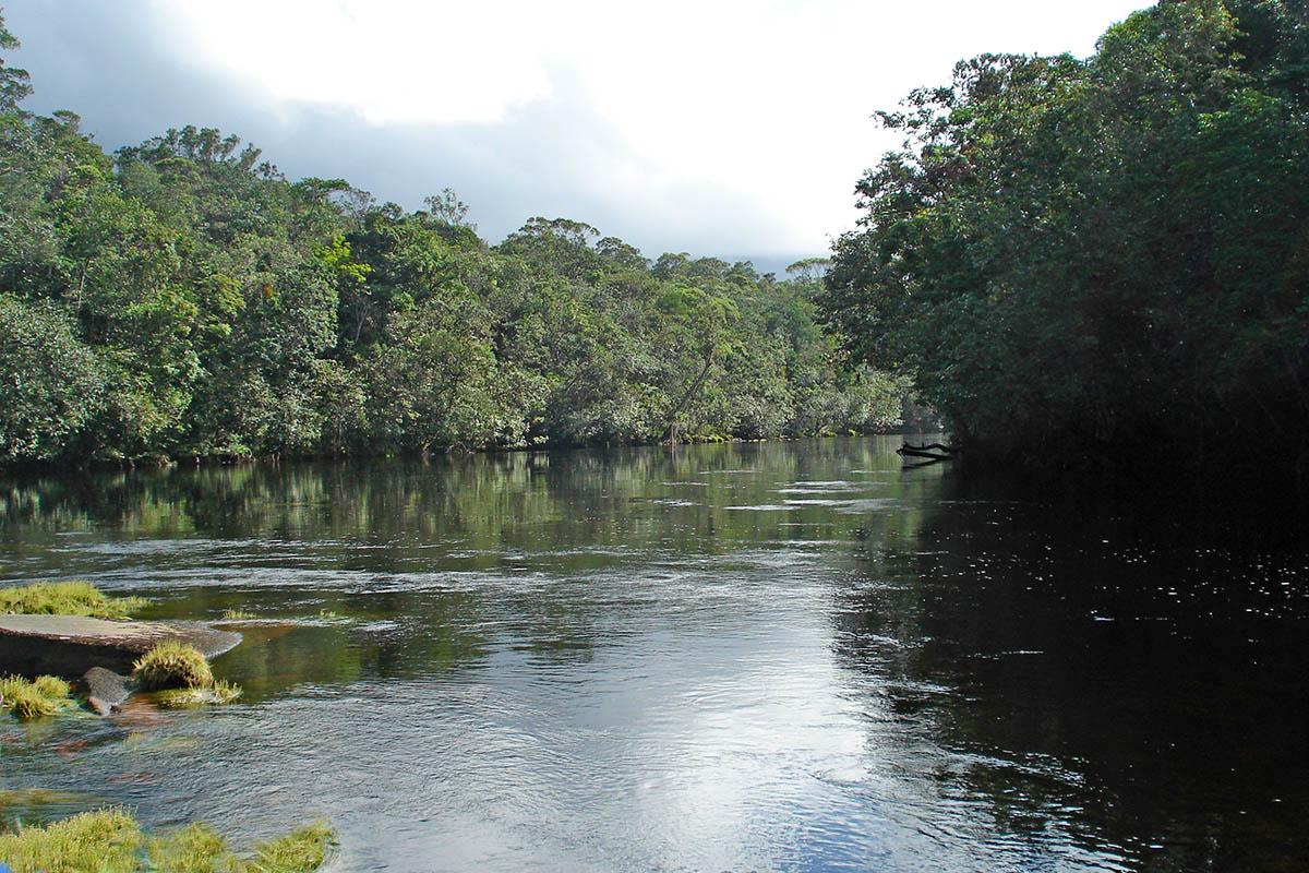 Канайма, image of landscape/habitat.