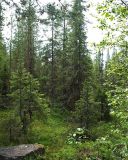 Image of landscape