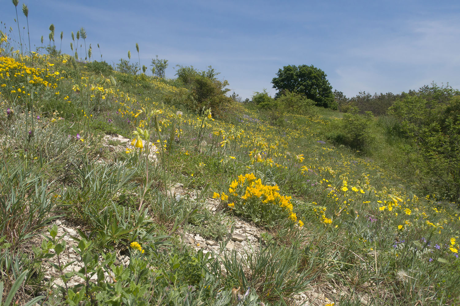 Гора Раевская, image of landscape/habitat.