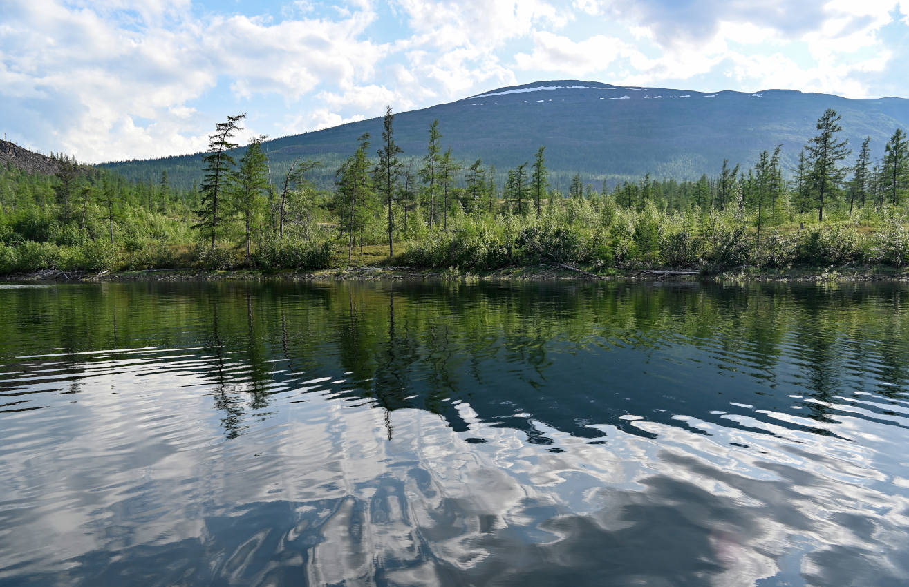 Долина реки Иркингда, image of landscape/habitat.
