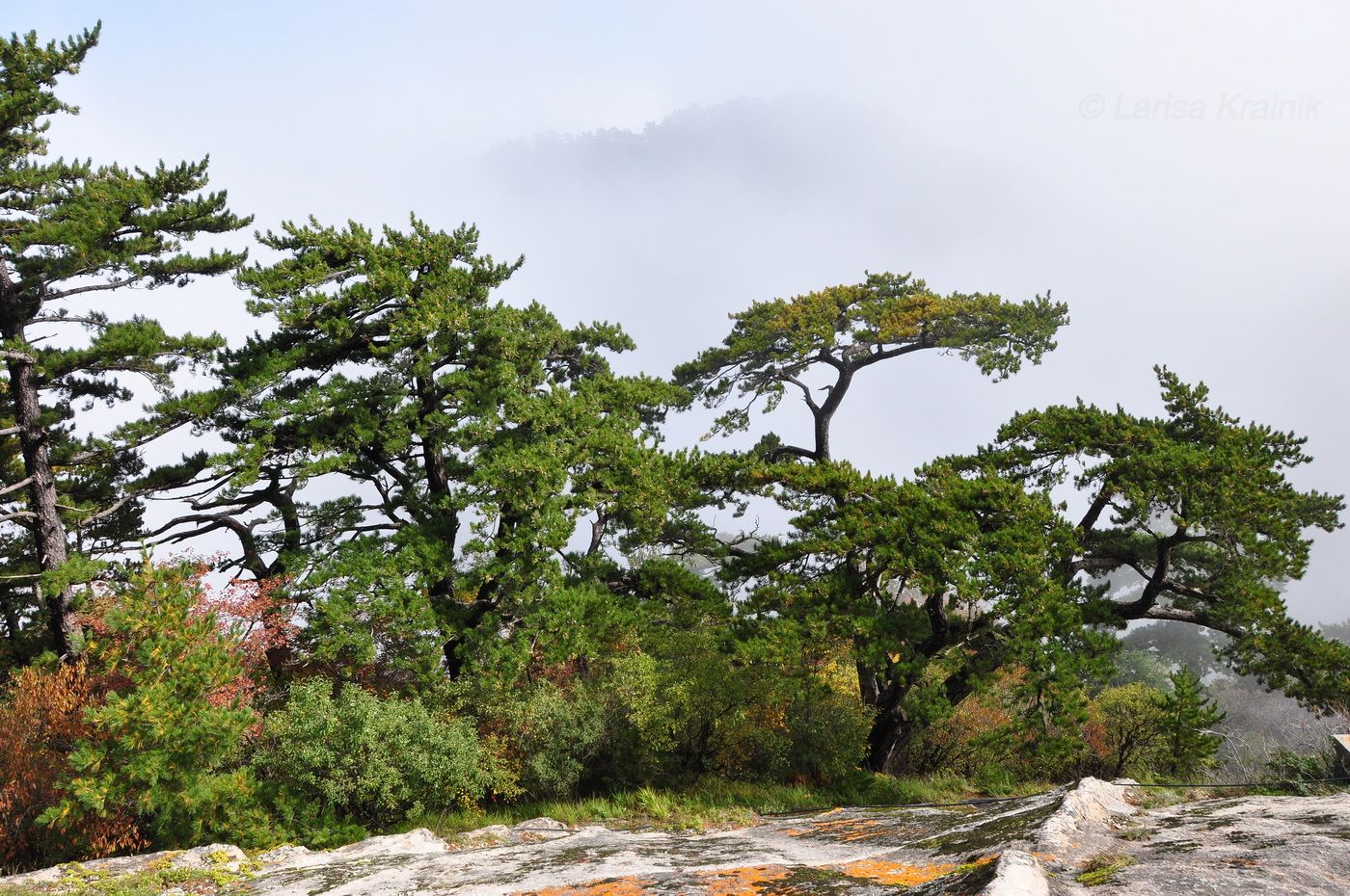 Национальный парк "Хуашань", изображение ландшафта.