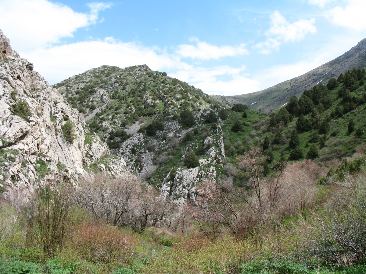 Талды-Булак, image of landscape/habitat.