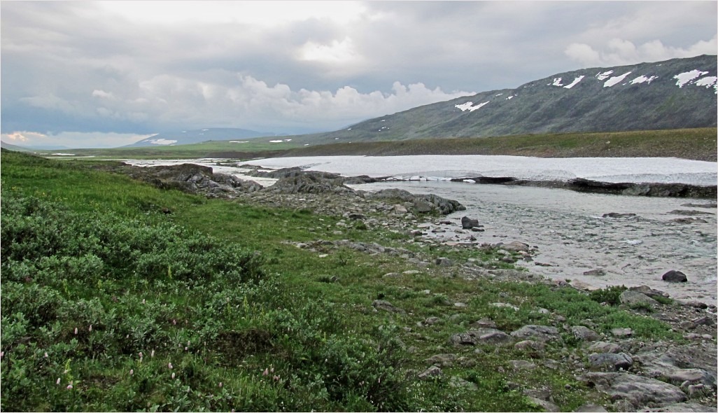 Верховья Большой Усы, image of landscape/habitat.