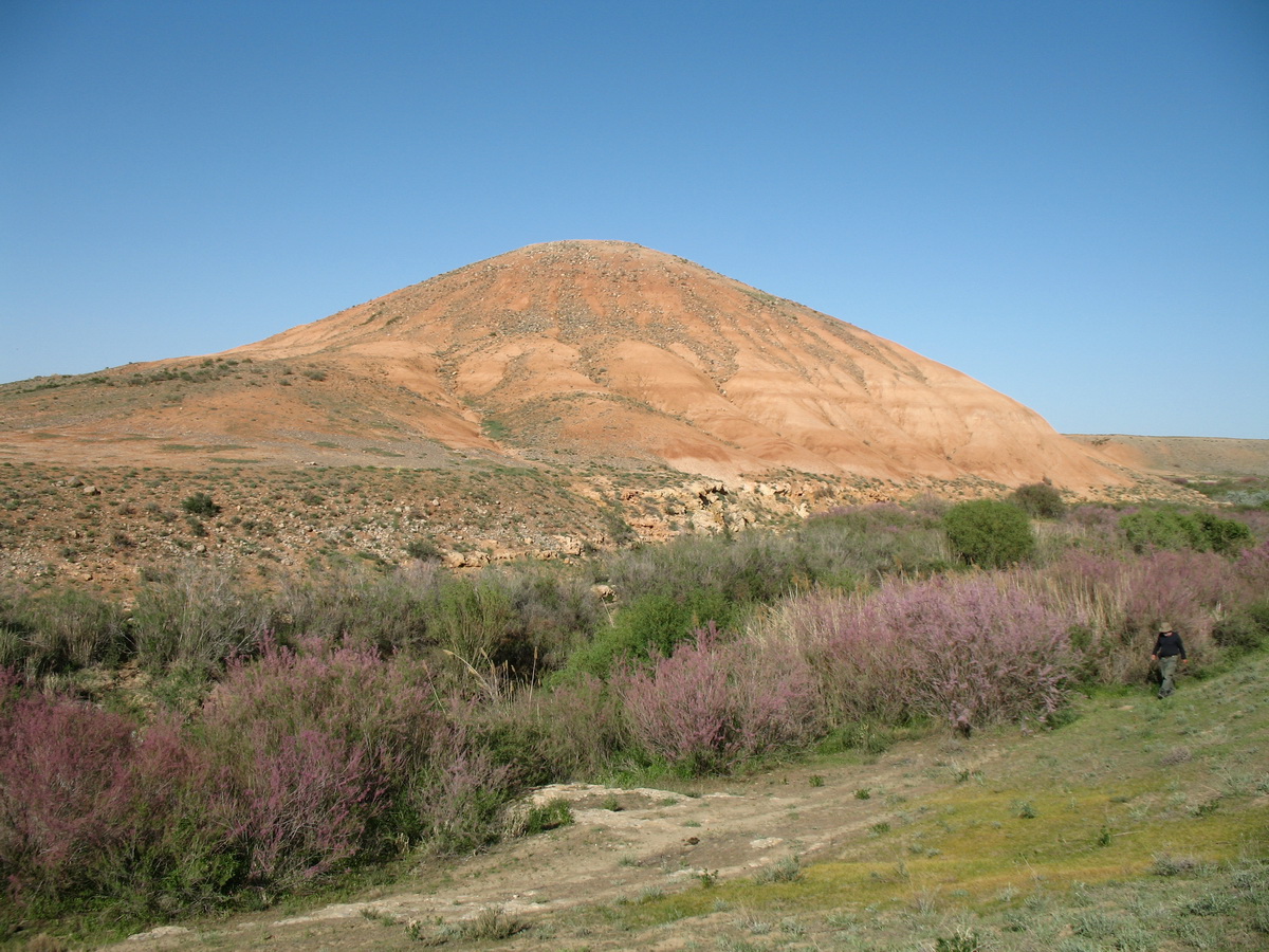 Озеро Кызылколь, image of landscape/habitat.