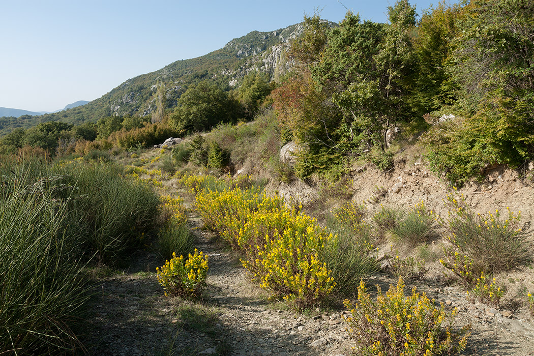 Кульяче и окрестности, image of landscape/habitat.