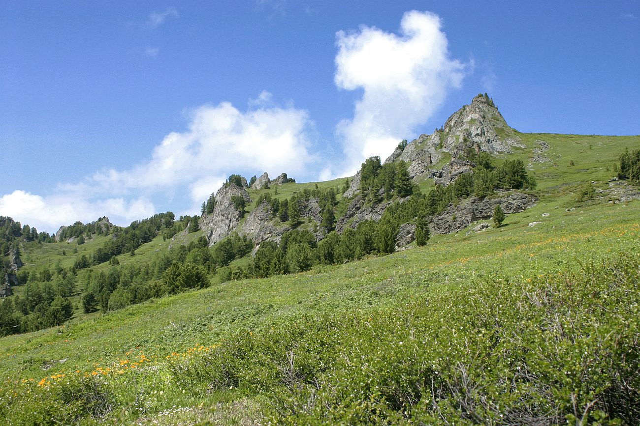 Водораздел р. Аккем и р. Аргут, изображение ландшафта.