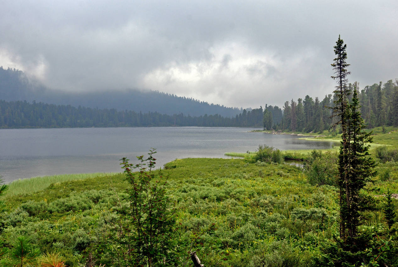 Озеро Светлое, image of landscape/habitat.