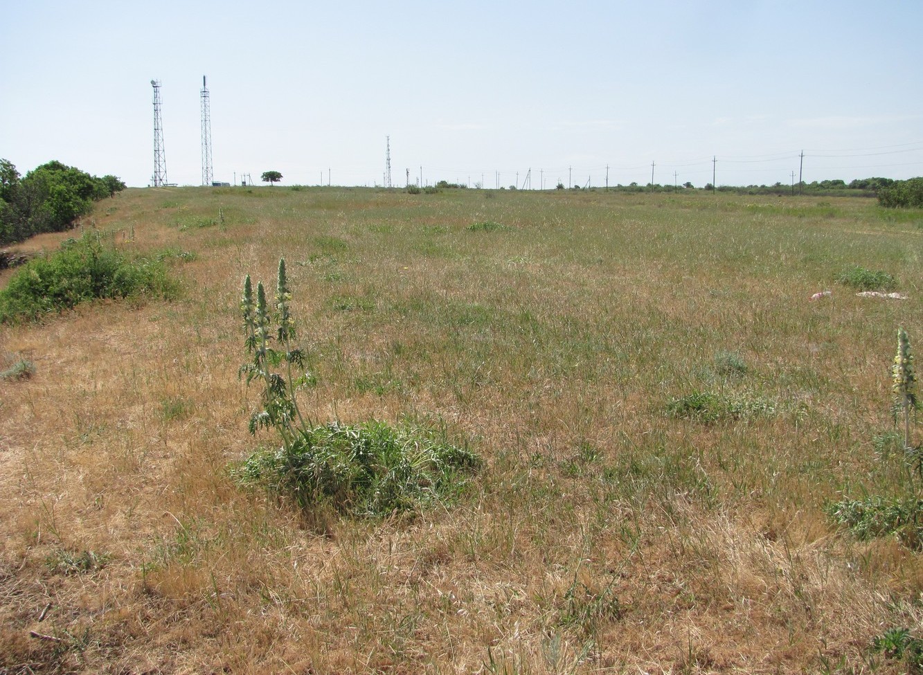 Избербаш, image of landscape/habitat.