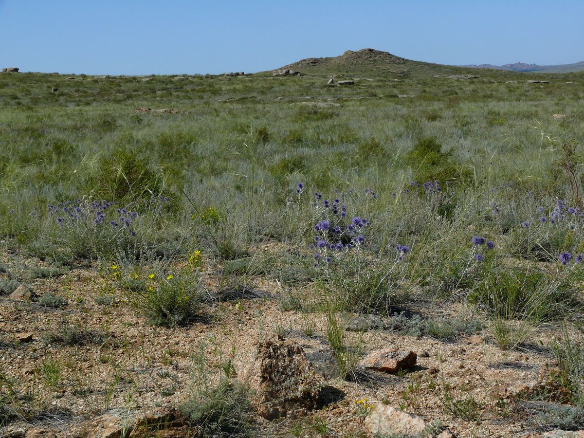 Озеро Дубыгалинское (Окуньки), image of landscape/habitat.