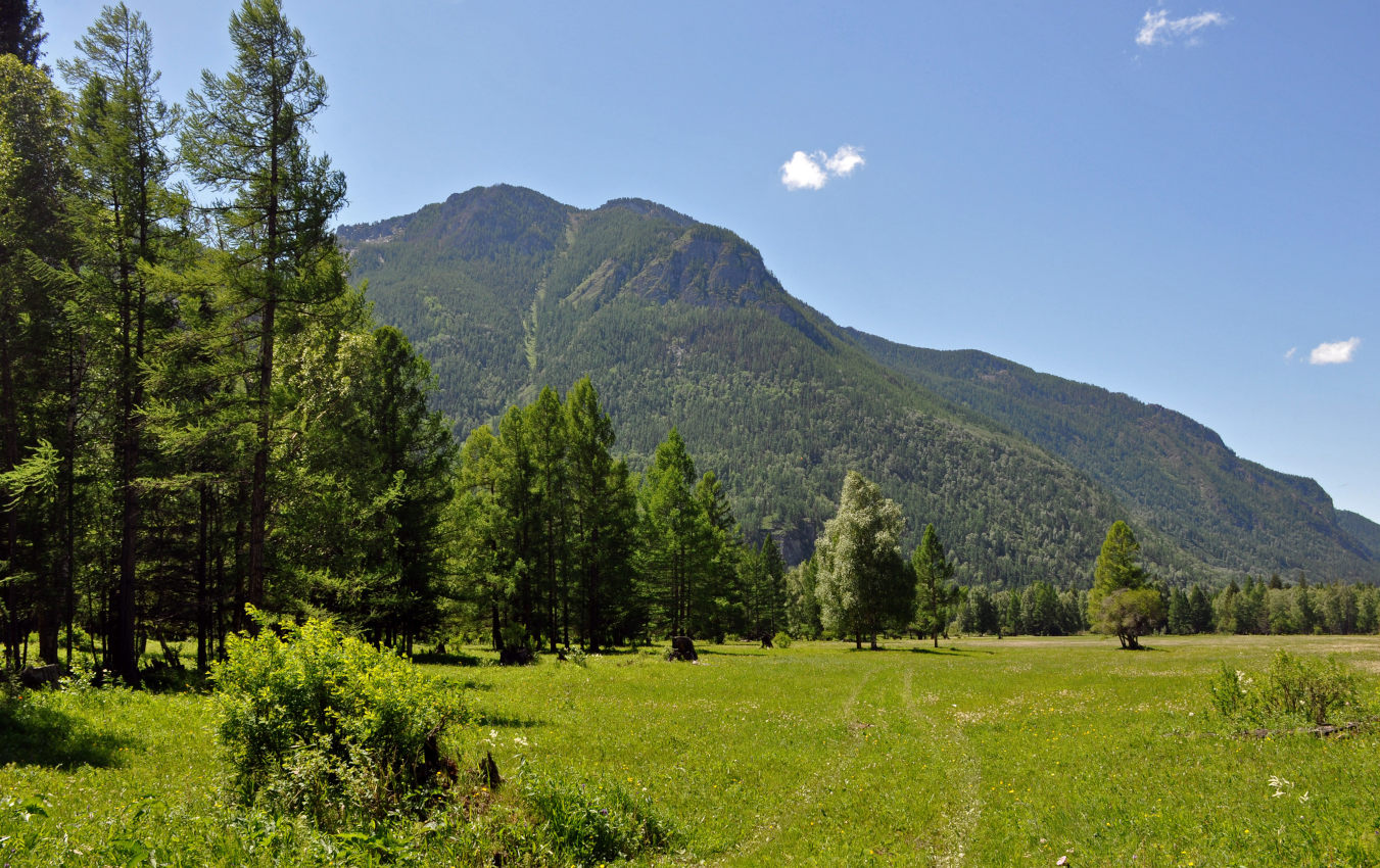 Долина реки Верхняя Карасу, image of landscape/habitat.