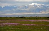 Image of landscape