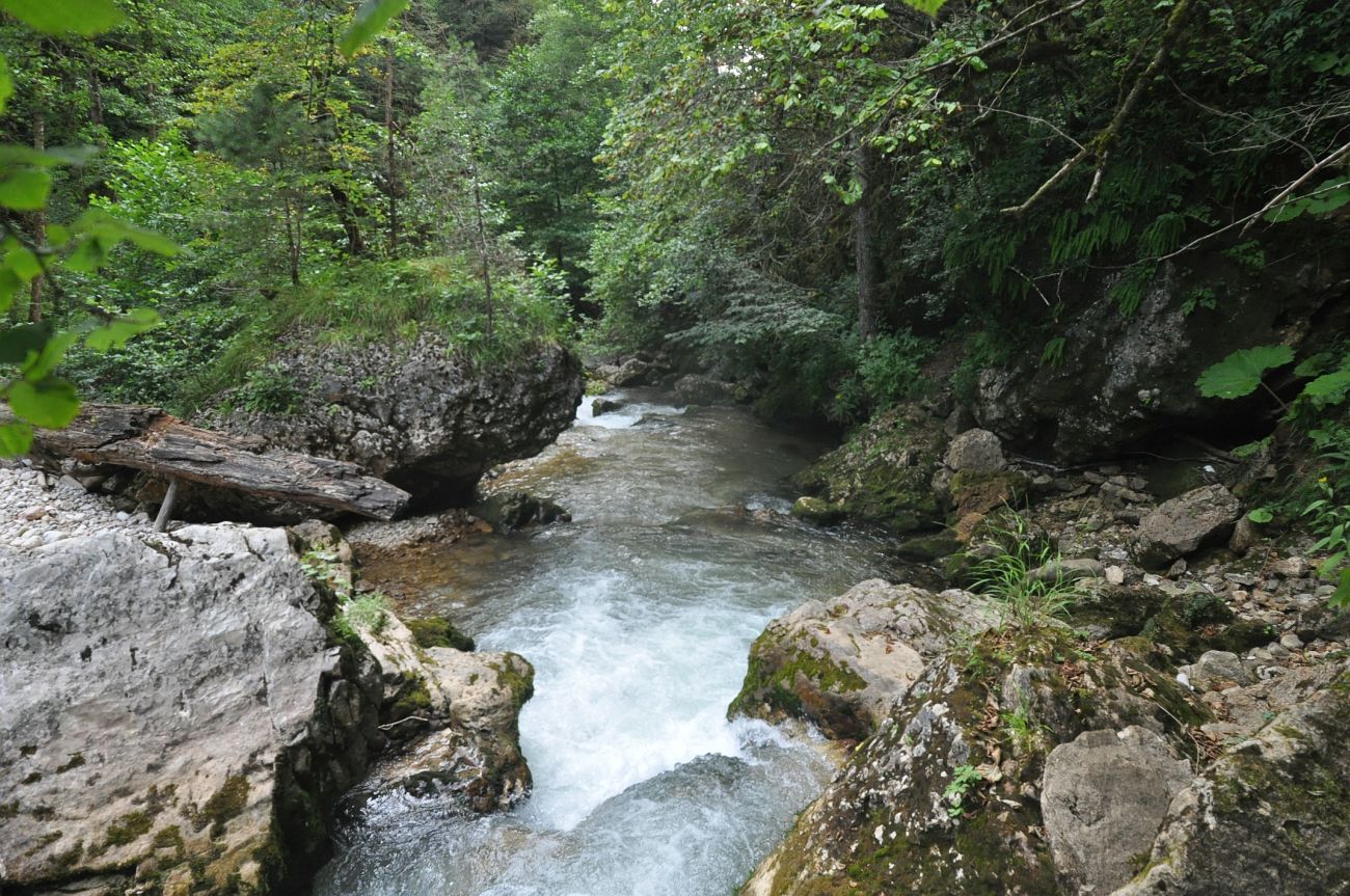 Курджипское ущелье, image of landscape/habitat.