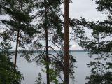 Image of landscape