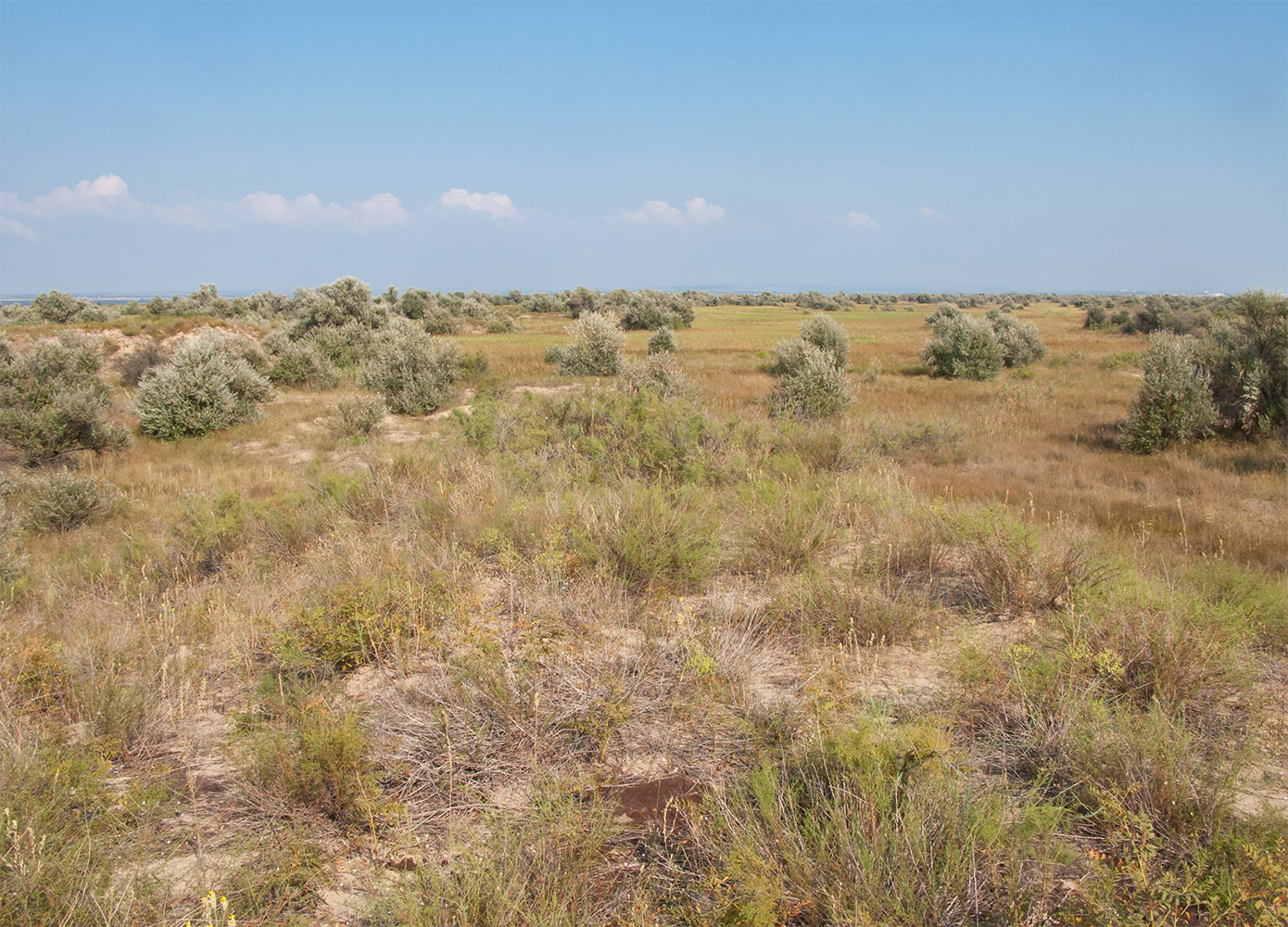 Витязевский лиман, image of landscape/habitat.