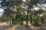 Image of landscape