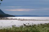 Image of landscape