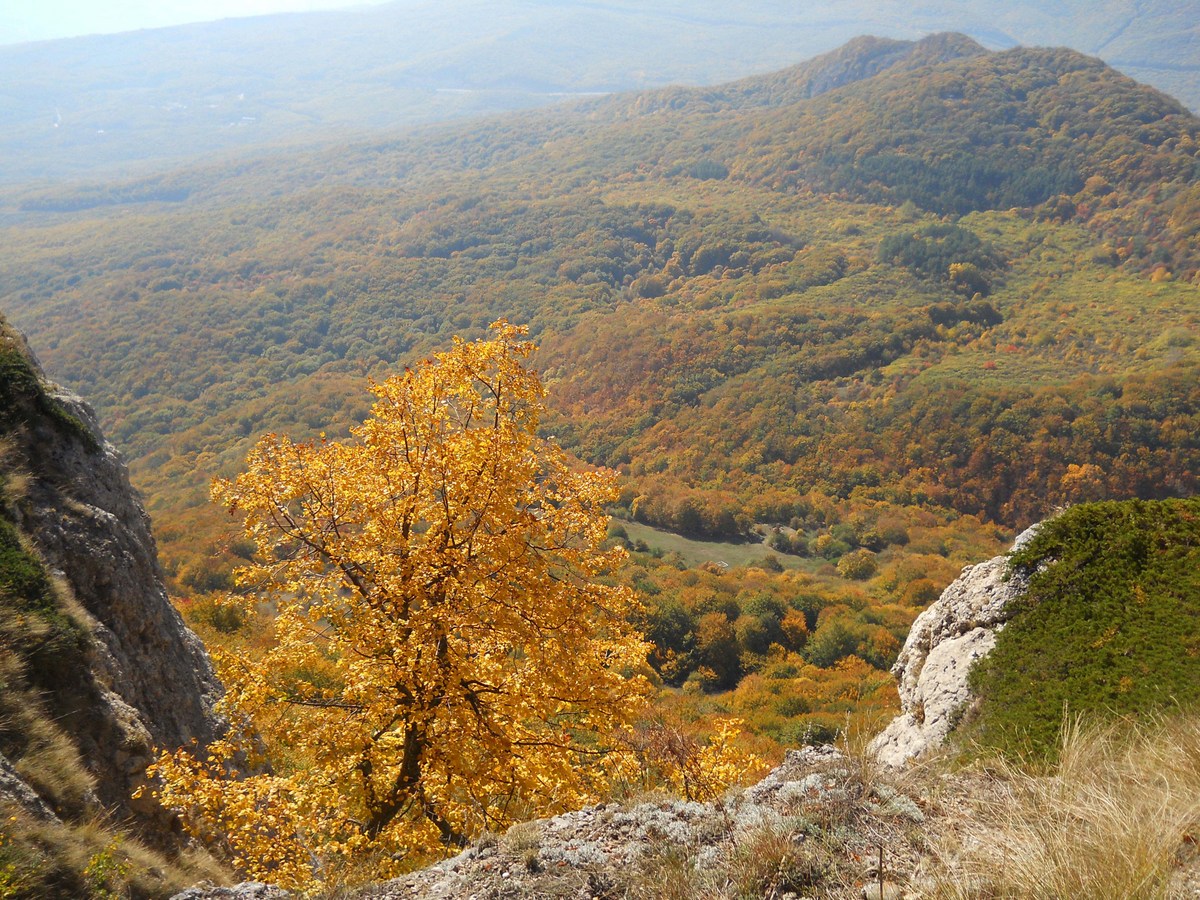 Северная Демерджи, image of landscape/habitat.