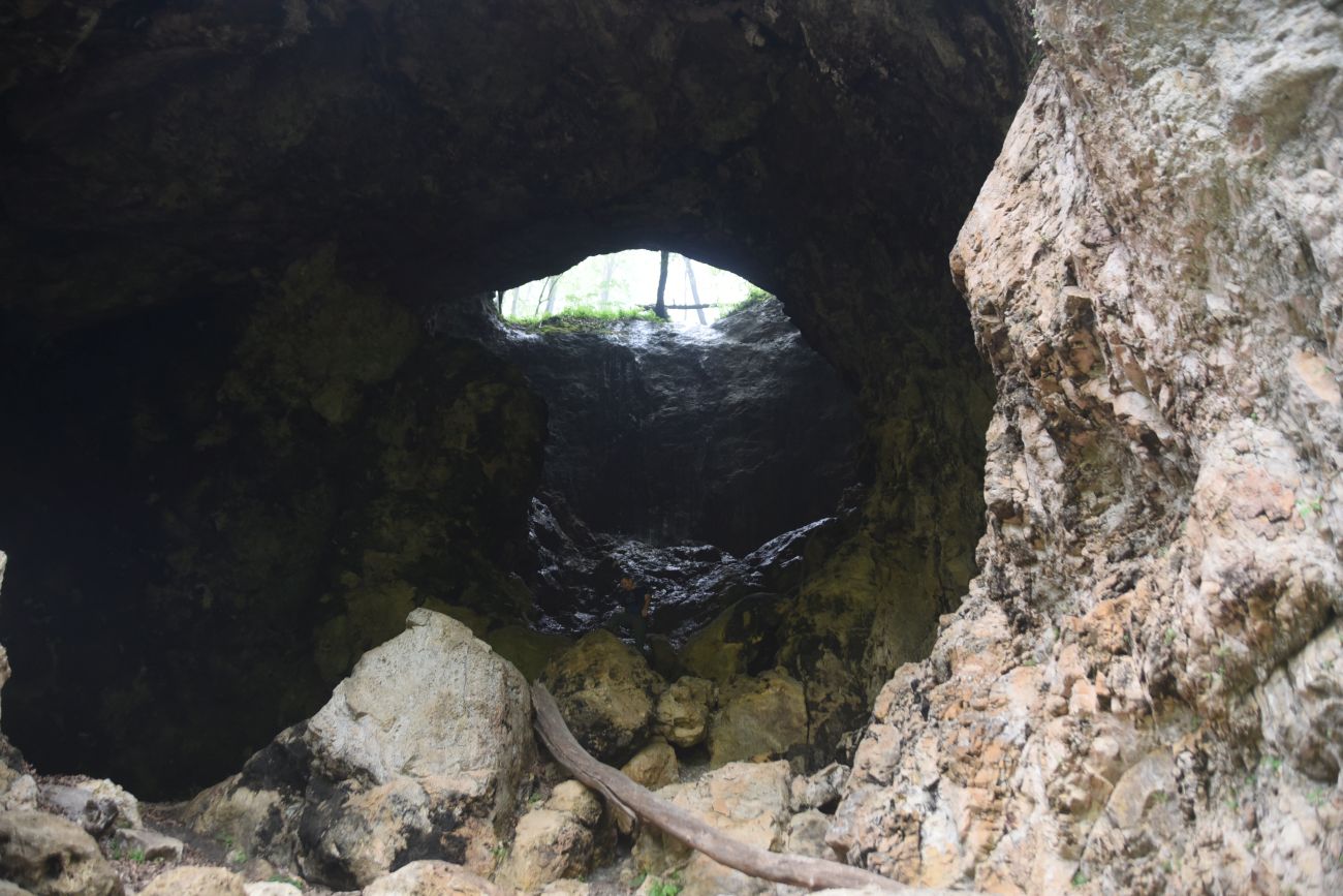 Сквозная, image of landscape/habitat.