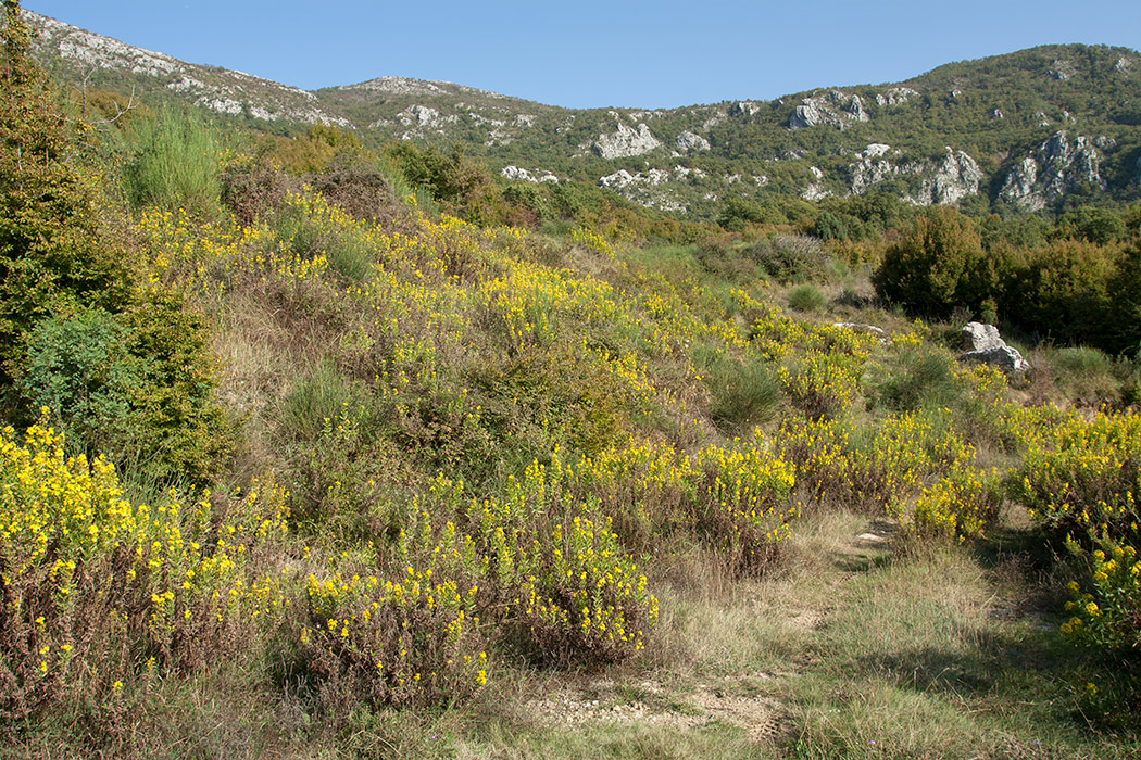 Кульяче и окрестности, image of landscape/habitat.