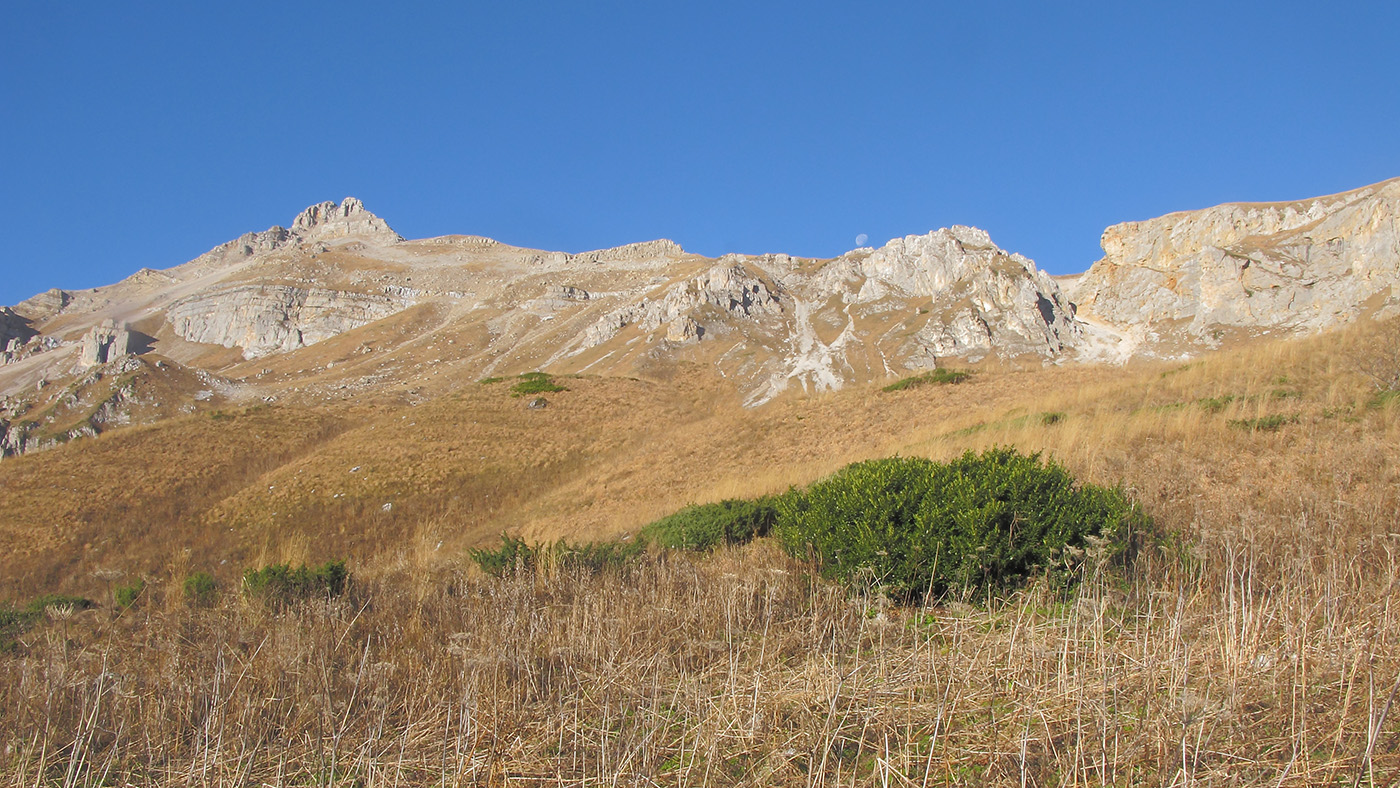 Оштен, image of landscape/habitat.