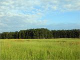 Жарь, image of landscape/habitat.