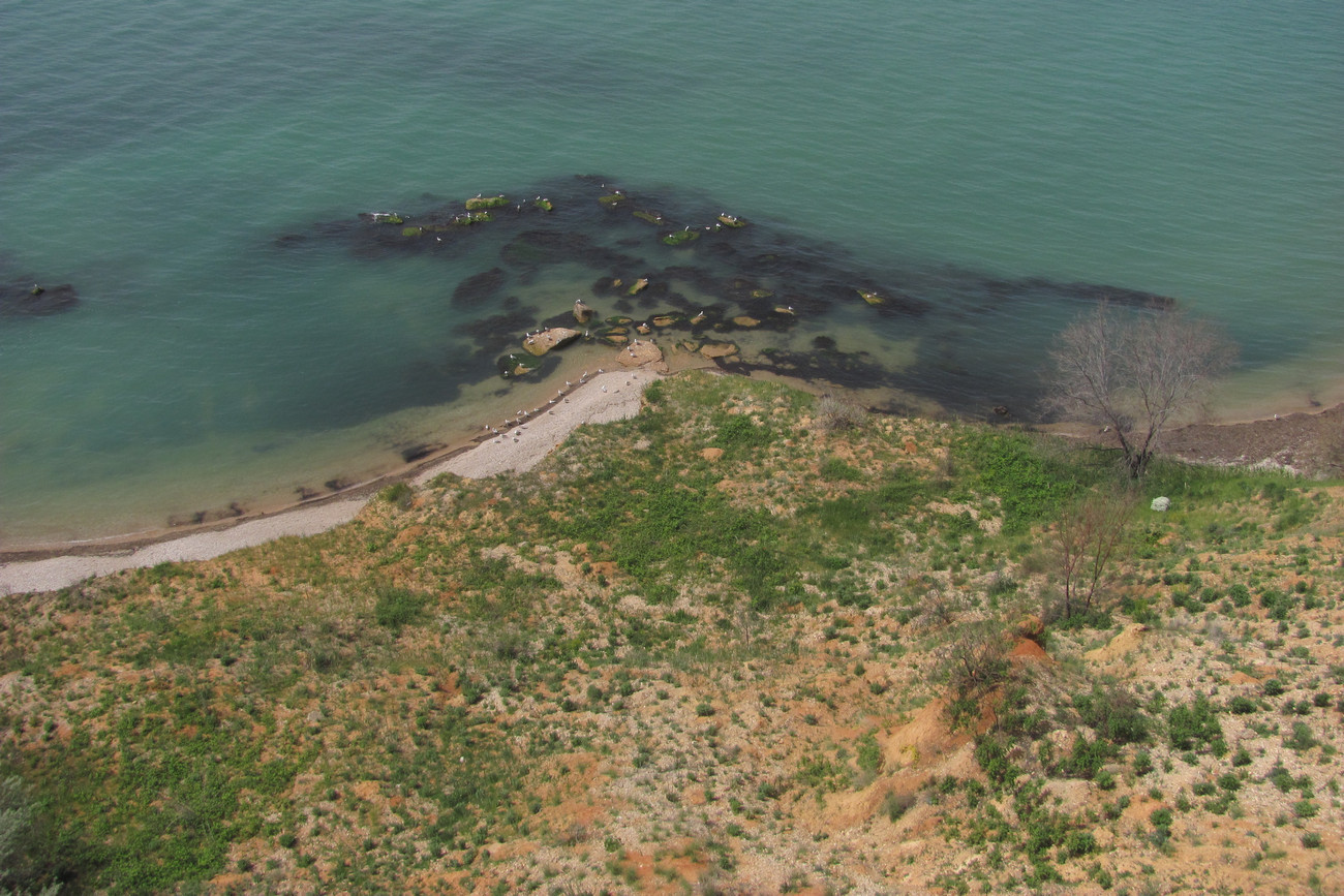 Орловка, image of landscape/habitat.