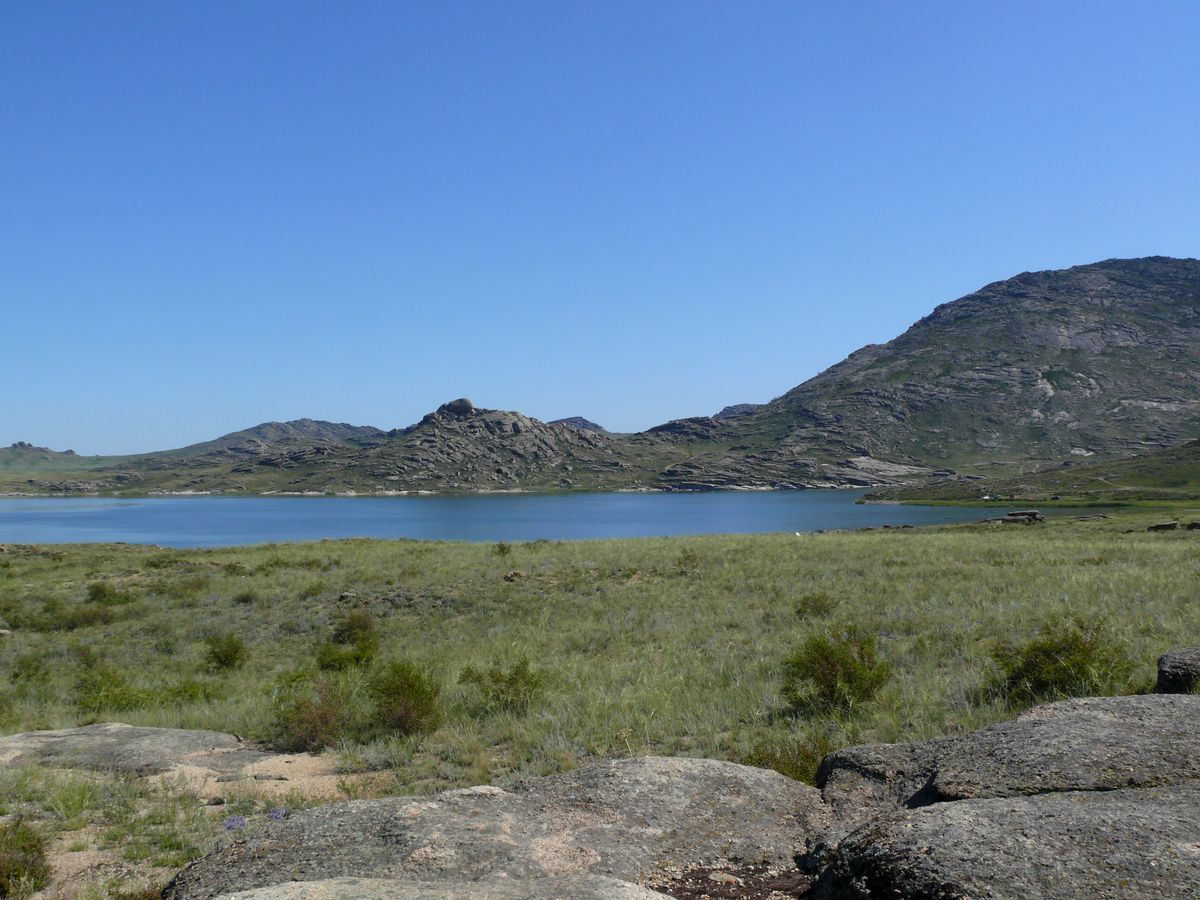 Озеро Дубыгалинское (Окуньки), image of landscape/habitat.